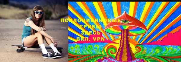 индика Верхний Тагил
