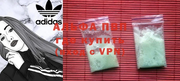 индика Верхний Тагил