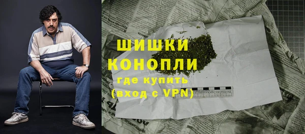 индика Верхний Тагил