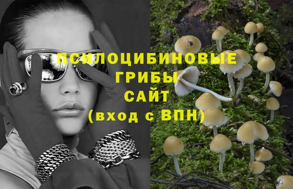 индика Верхний Тагил